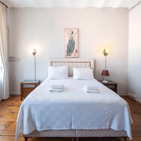 Ganbaru Tours - Private Triplex&duplex Istanbulská provincie
