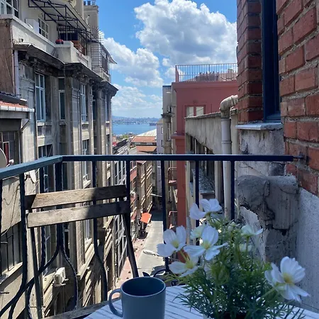 Ganbaru Tours - Private Triplex&duplex