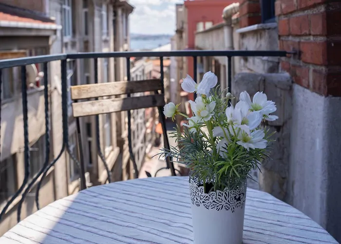 Apartment Ganbaru Tours - Private Triplex&duplex Istanbul